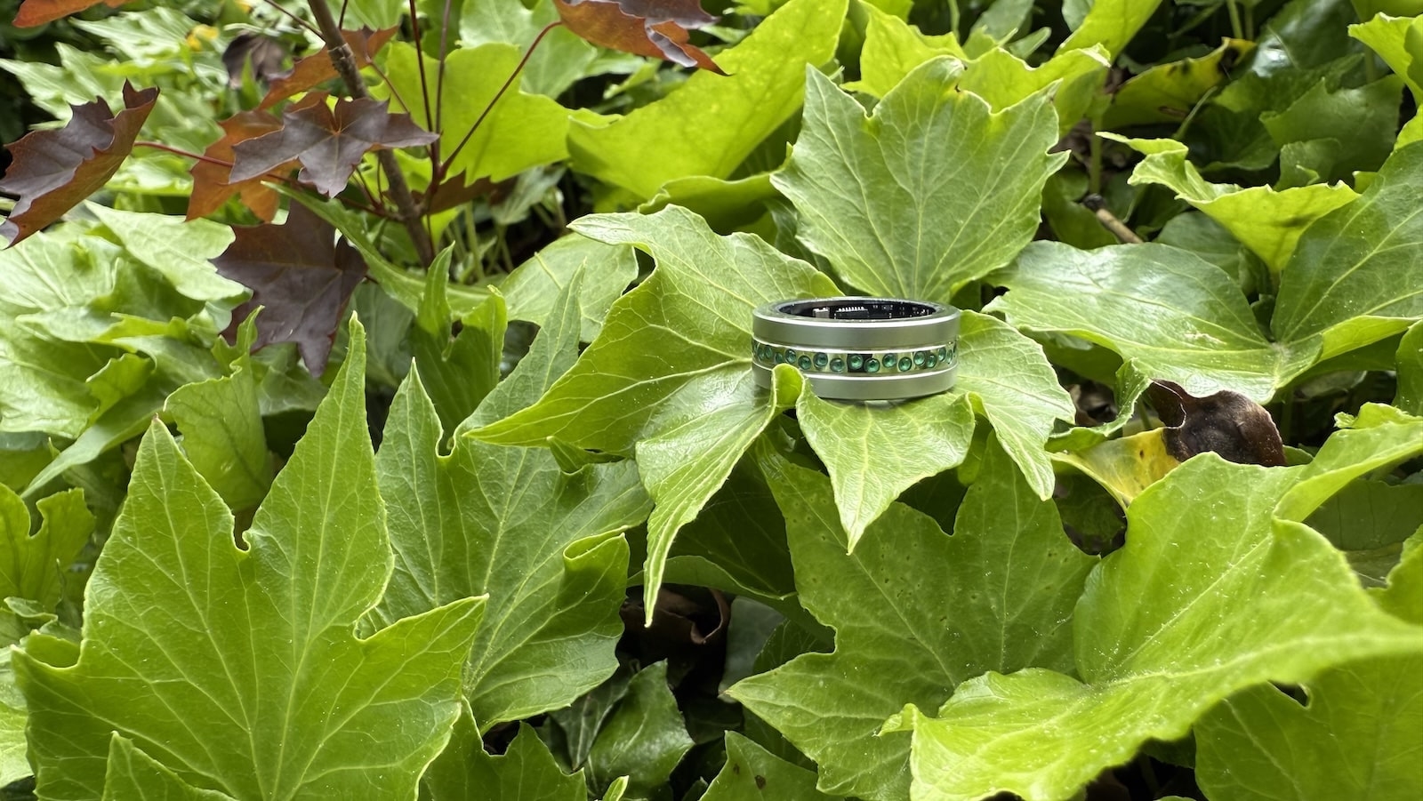 ZEUS Smart Ring: Daily Health Tracking — But Is It Really “Smart”?