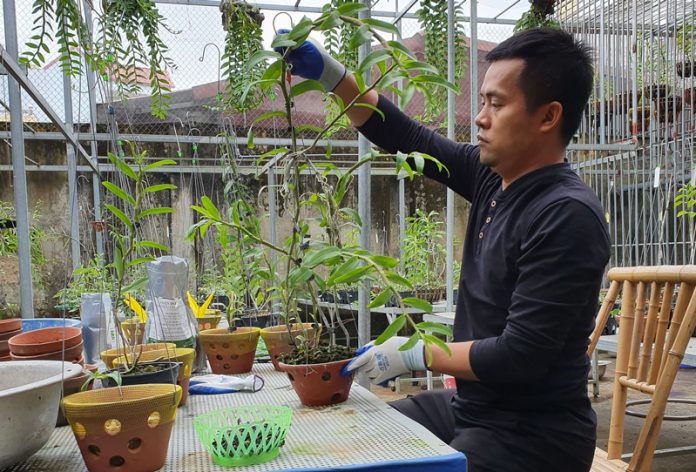 Ông chủ vườn lan Dương Xuân Tú bỏ nghề theo đuổi hoa phong lan