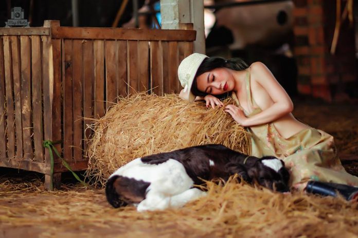 Bộ ảnh Dairy Girl: Kìa ‘cô nàng bò sữa’ gợi cảm