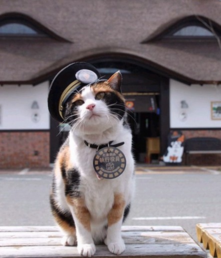 mèo Tama trưởng ga Kishi