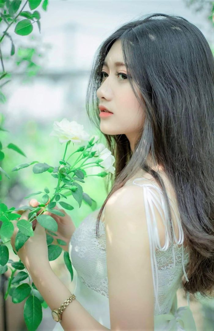tử vi cá nhân hàng ngày