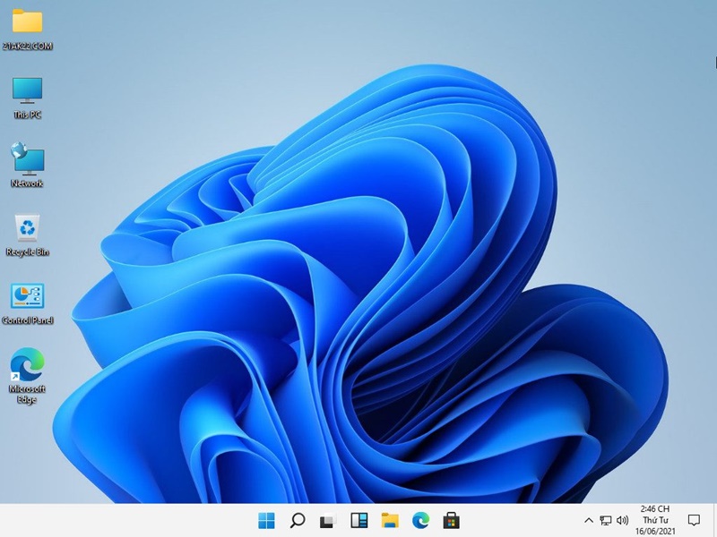 Windows 11