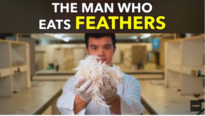 Ngạc nhiên chàng trai chế biến thức ăn từ lông gà