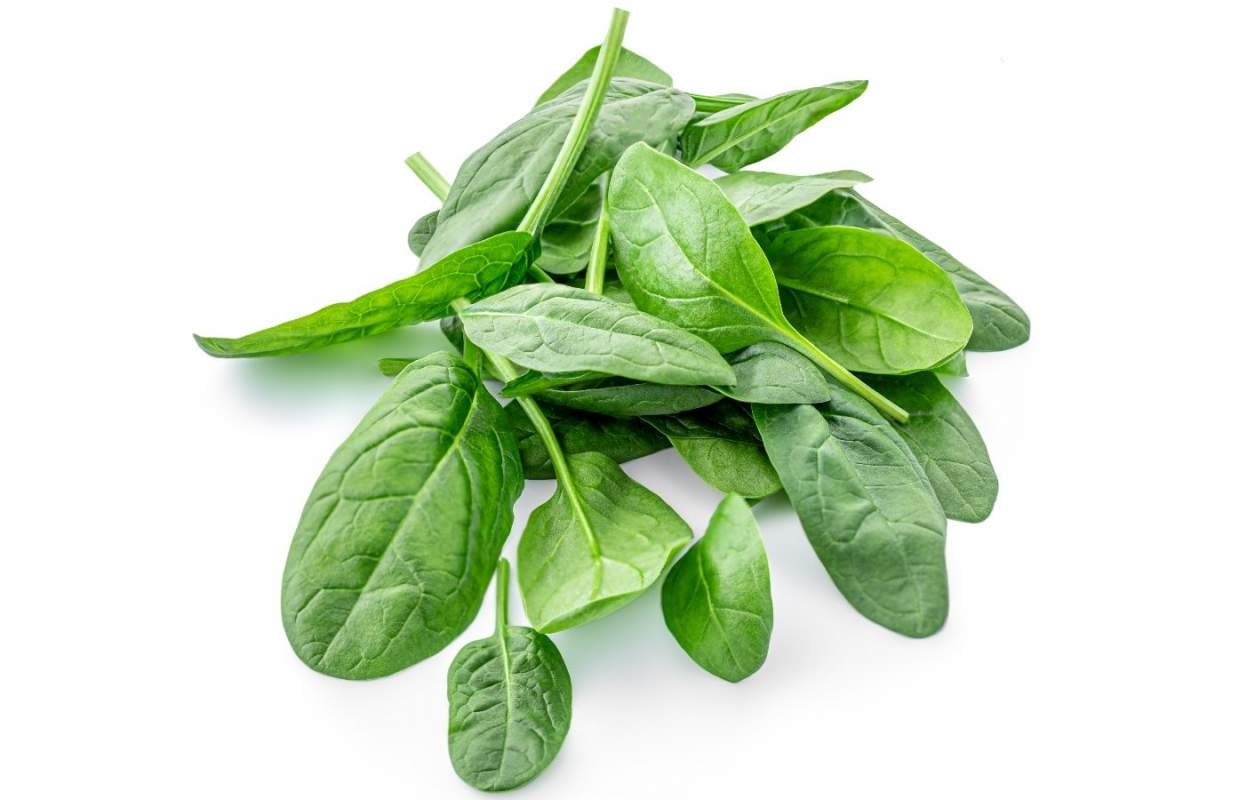Chứng đau nửa đầu