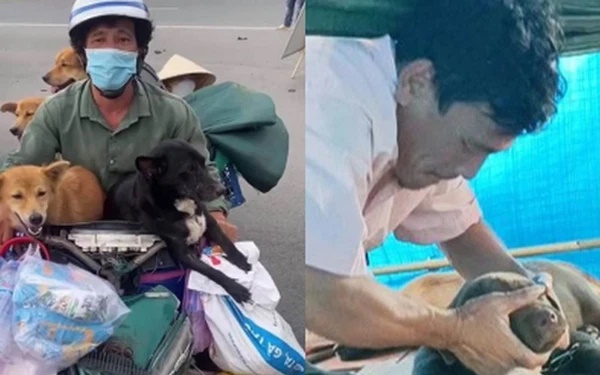 Chủ đàn chó bị tiêu hủy ở Cà Mau: 4 tháng tiêu hết 120 triệu được ủng hộ để nuôi 15 con chó mới