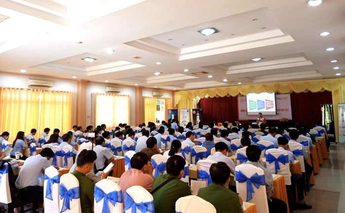 Bugi ngk, qltt đồng tháp