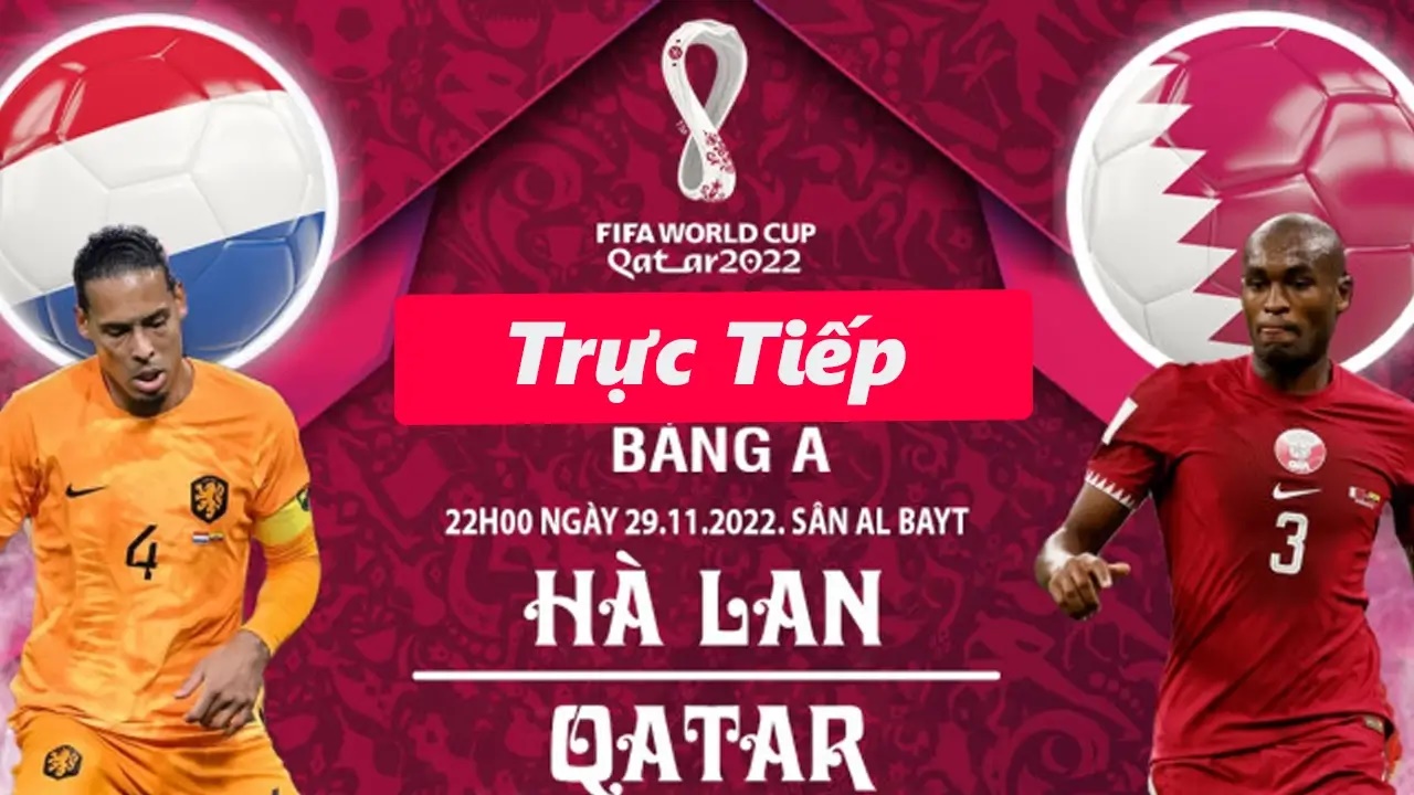Trực tiếp bóng đá Hà Lan vs Qatar 22h00, 29/11: Xem ở đâu?