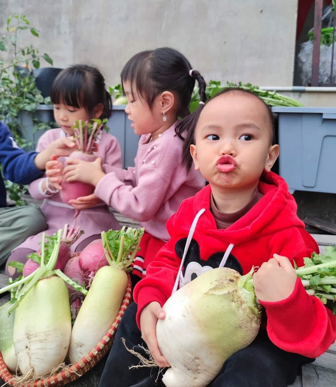 vườn cà chua, mẹ bỉm sữa