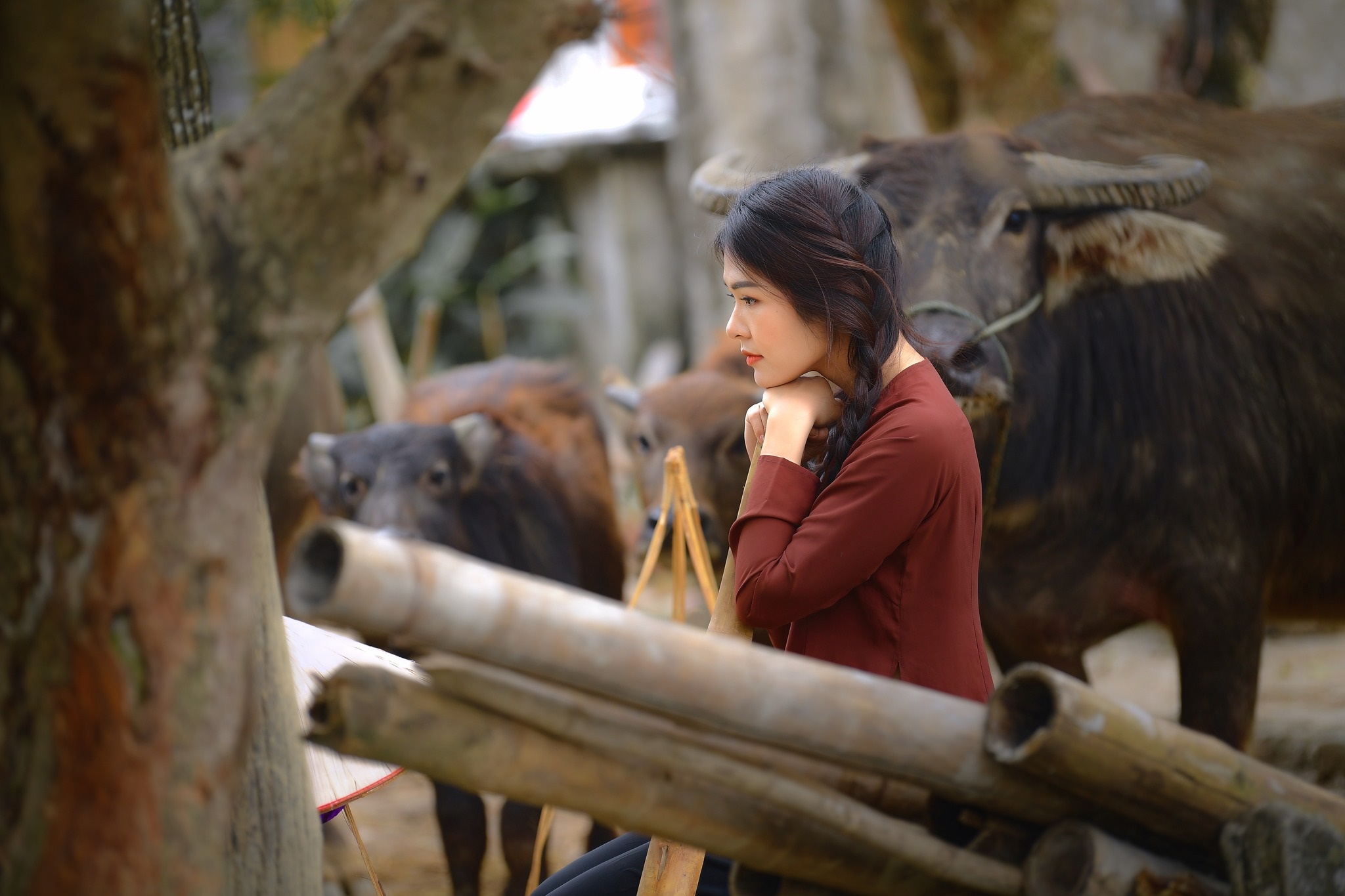 ngày 8/8, bộ ảnh cho ngày 8/3