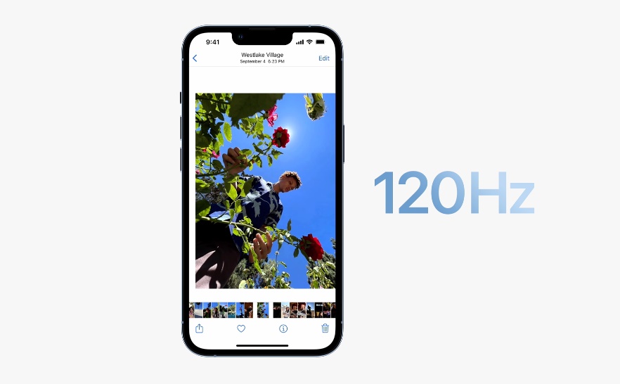 iPhone 13