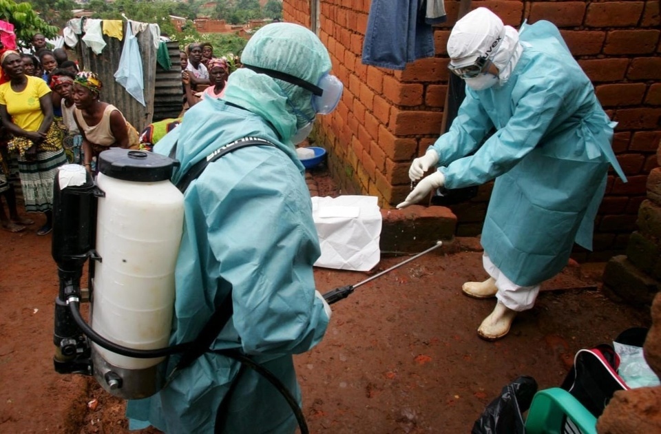 virus Marburg, WHO, dịch bệnh