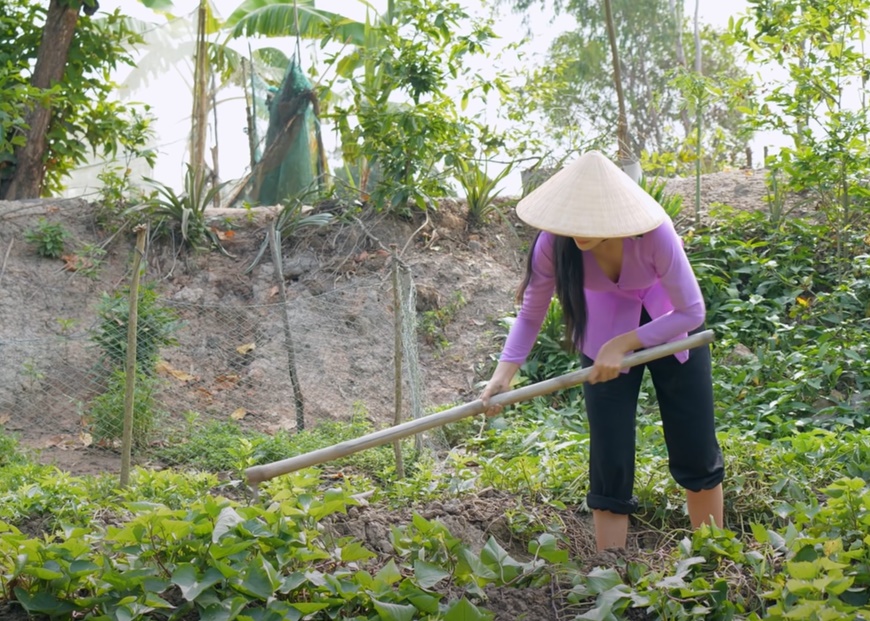 bánh canh khoai lang xắt, miền Tây, Khói Lam Chiều