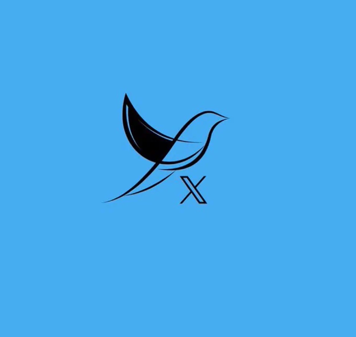 Elon Musk, Logo Twitter, Logo X