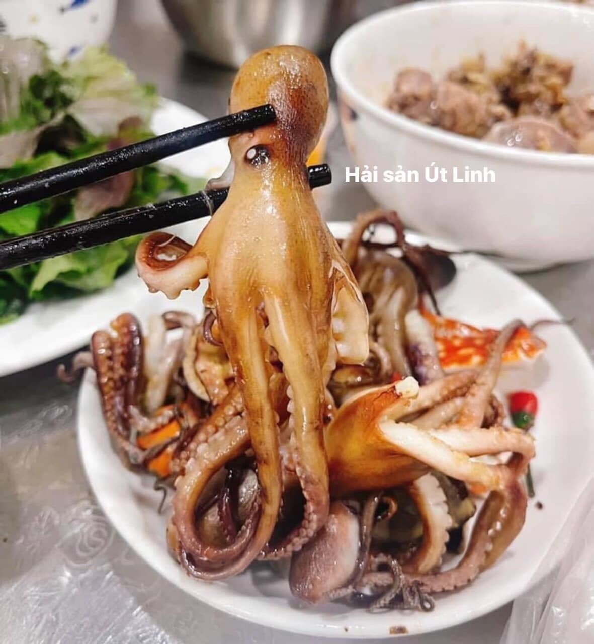 hải sản, Thủ Đức, Vũng Tàu, hải sản Út Linh