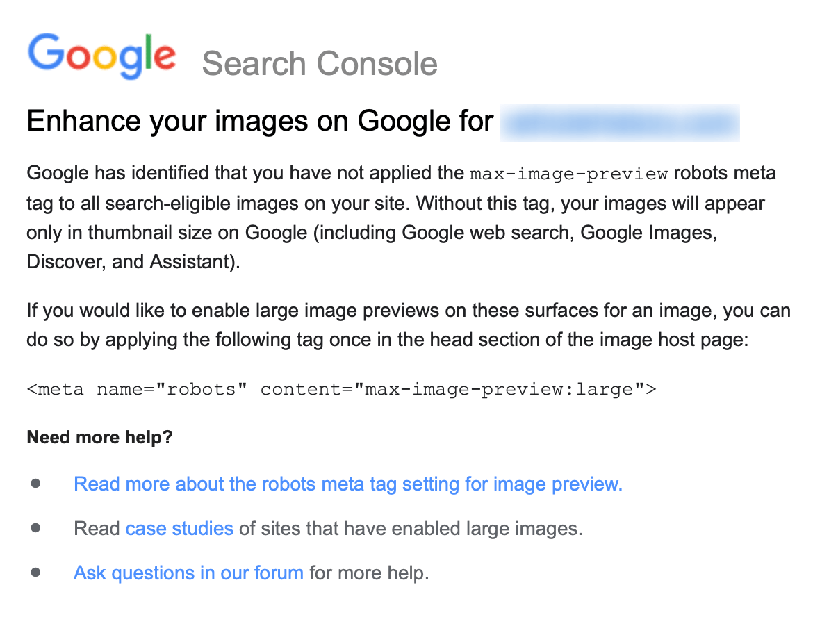 Thông báo của Google về thẻ meta Max Image Preview 