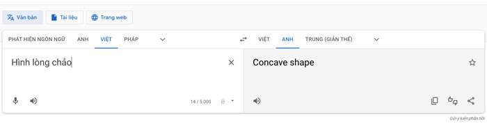 Google dịch nói bậy