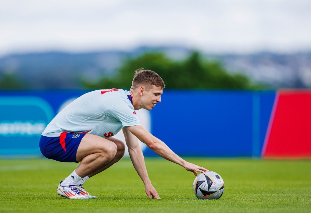 Dani Olmo, Vua phá lưới Euro 2024