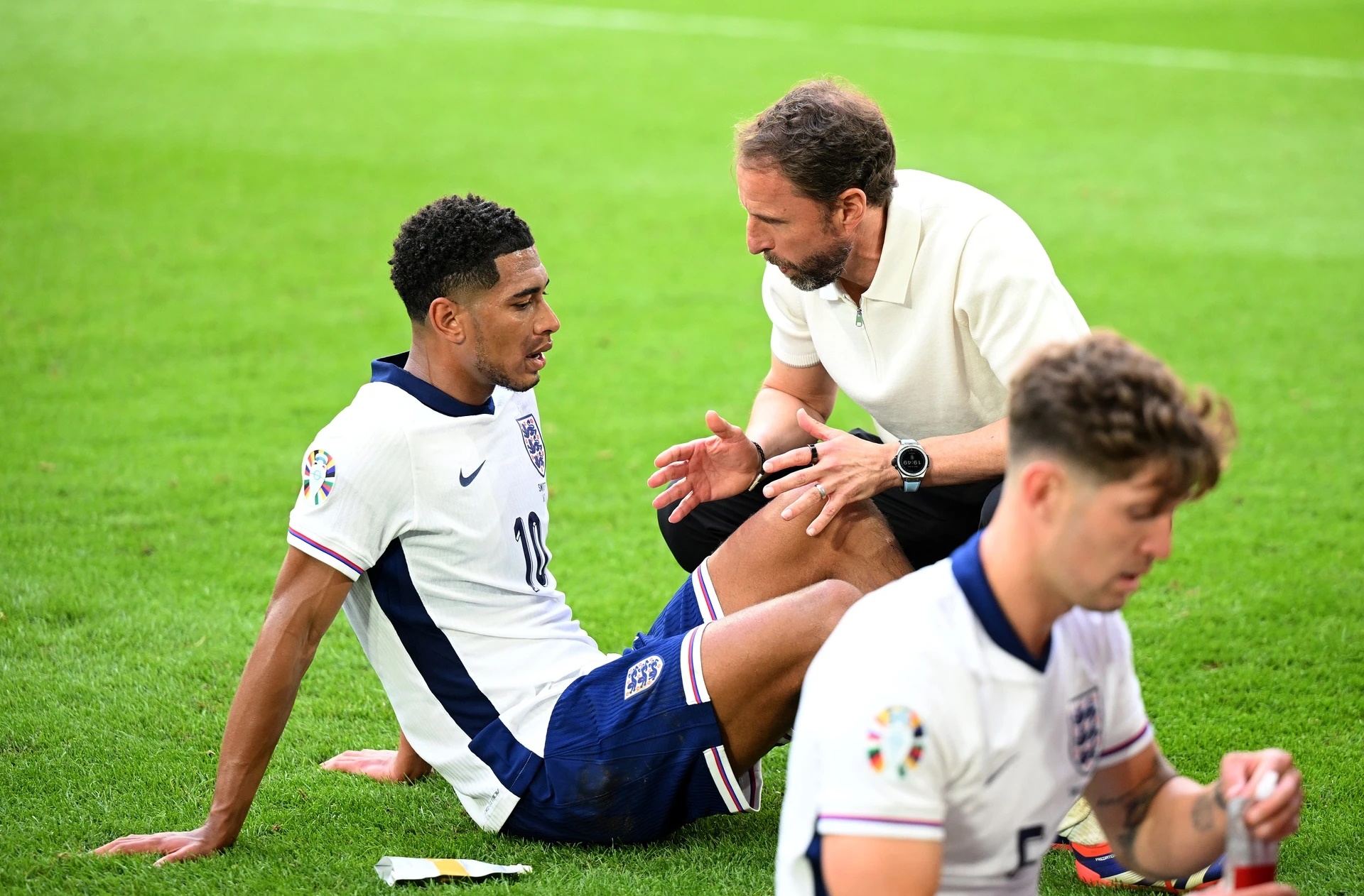 Gareth Southgate, Chuyên gia online