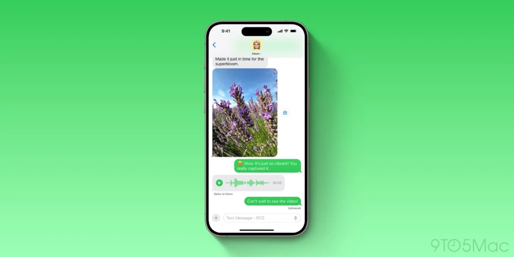 iOS 18 Public Beta, Apple