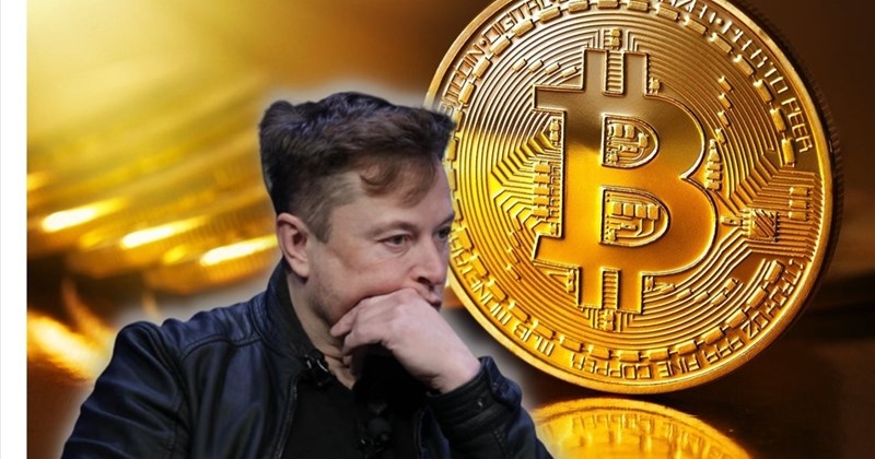 Elon Musk bán hết Bitcoin, Elon Musk, Bitcoin