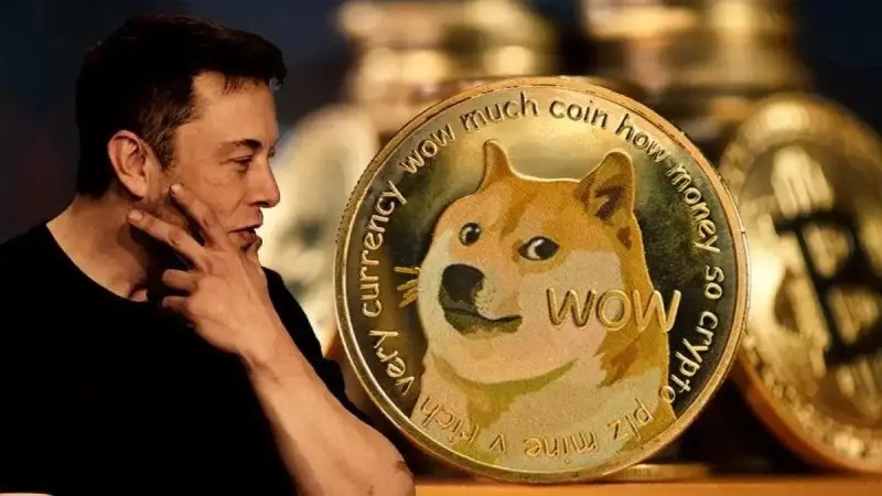 Dogecoin bạo tăng, Dogecoin tăng gấp đôi