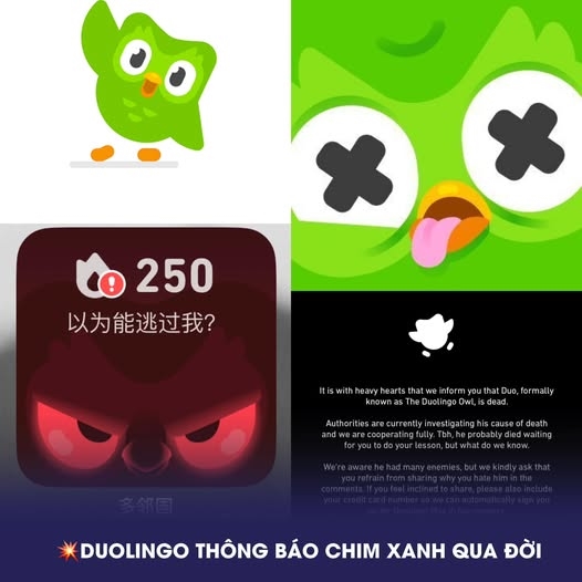 Cú xanh Duolingo, Cú xanh Duolingo chết, Cú xanh Duolingo qua đời