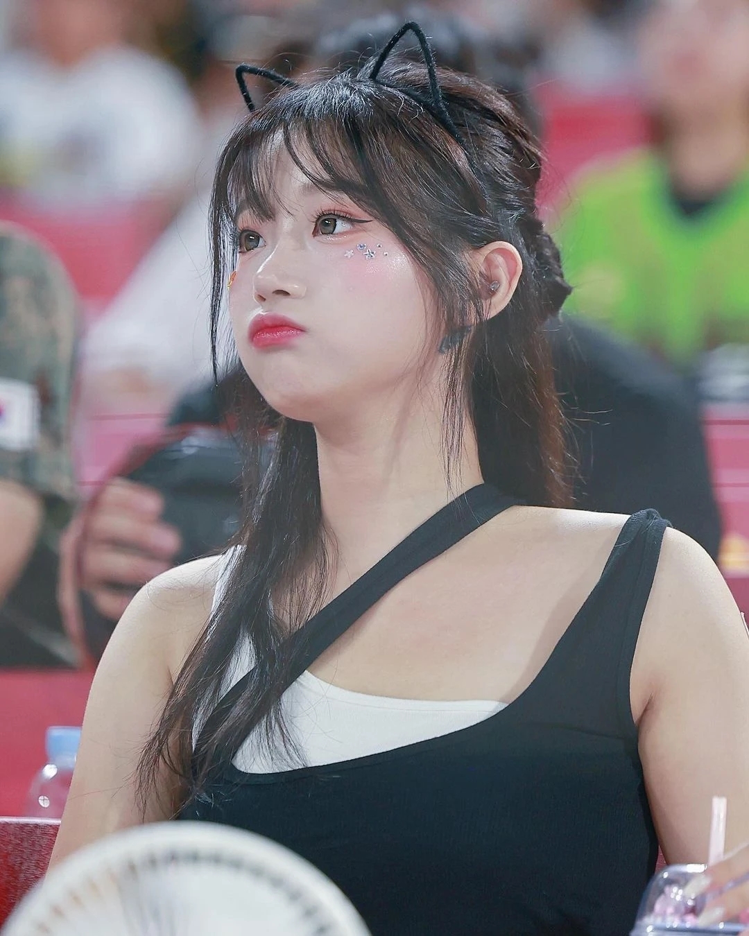 Lee Ju Eun, Hoạt náo viên Hàn Quốc, Trang phục hoạt náo viên, KBO League, Tranh cãi trang phục cổ vũ