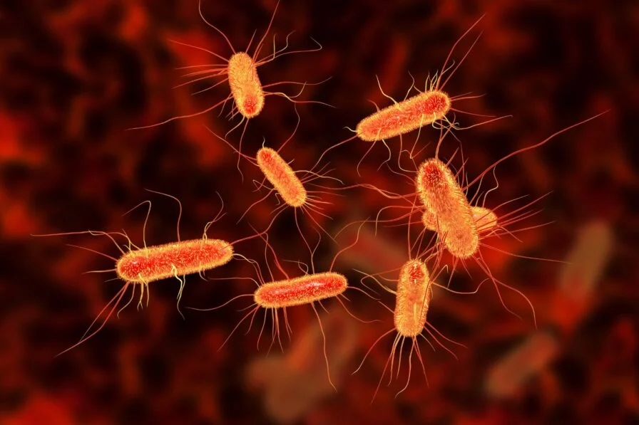 ung thư đại trực tràng ở người trẻ, nguyên nhân ung thư đại trực tràng, vi khuẩn E. coli colibactin, ung thư đại trực tràng khởi phát sớm, nghiên cứu ung thư 2025
