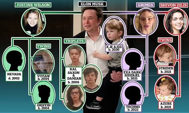 Elon Musk sinh nhiều con, Elon Musk và Ashley St. Clair, Elon Musk giảm dân số, Elon Musk và ngày tận thế, Elon Musk tuyển mẹ mang thai hộ
