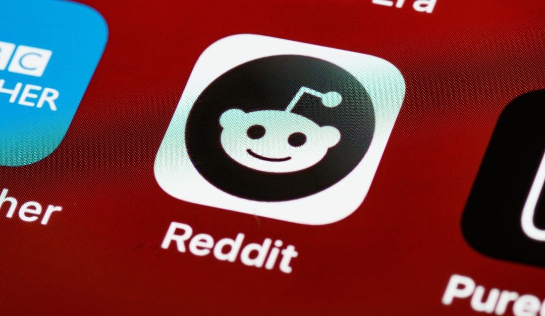 Reddit Pro, công cụ cho doanh nghiệp, hồ sơ doanh nghiệp Reddit, cập nhật Reddit, xây dựng thương hiệu, mạng xã hội Reddit, tiếp thị trên Reddit