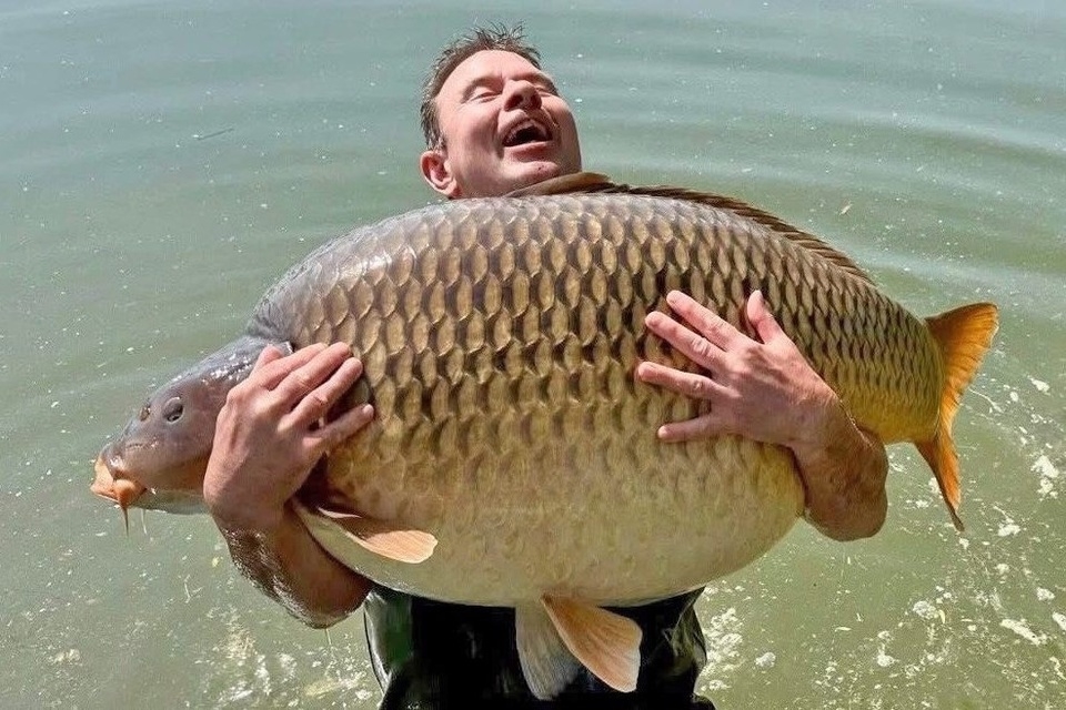 David Knock, cá chép khổng lồ, phá kỷ lục thế giới, câu cá Hungary, Euro Aqua, cá chép lớn nhất
