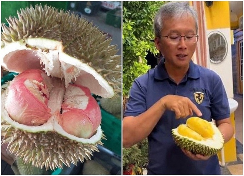 Sầu riêng Tupai King, giá sầu riêng Malaysia, trái cây cao cấp, thị trường sầu riêng châu Á