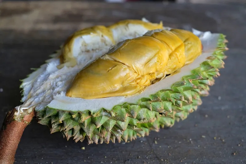 Sầu riêng Tupai King là gì, sầu riêng Tupai King, giá sầu riêng Tupai King, sầu riêng Malaysia