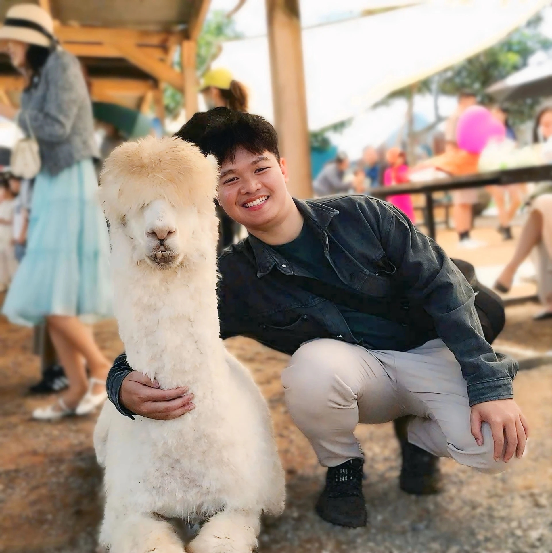 Bộ gõ tiếng Việt, bộ gõ v7, AI tiếng Việt, Trí Đức, ứng dụng AI
