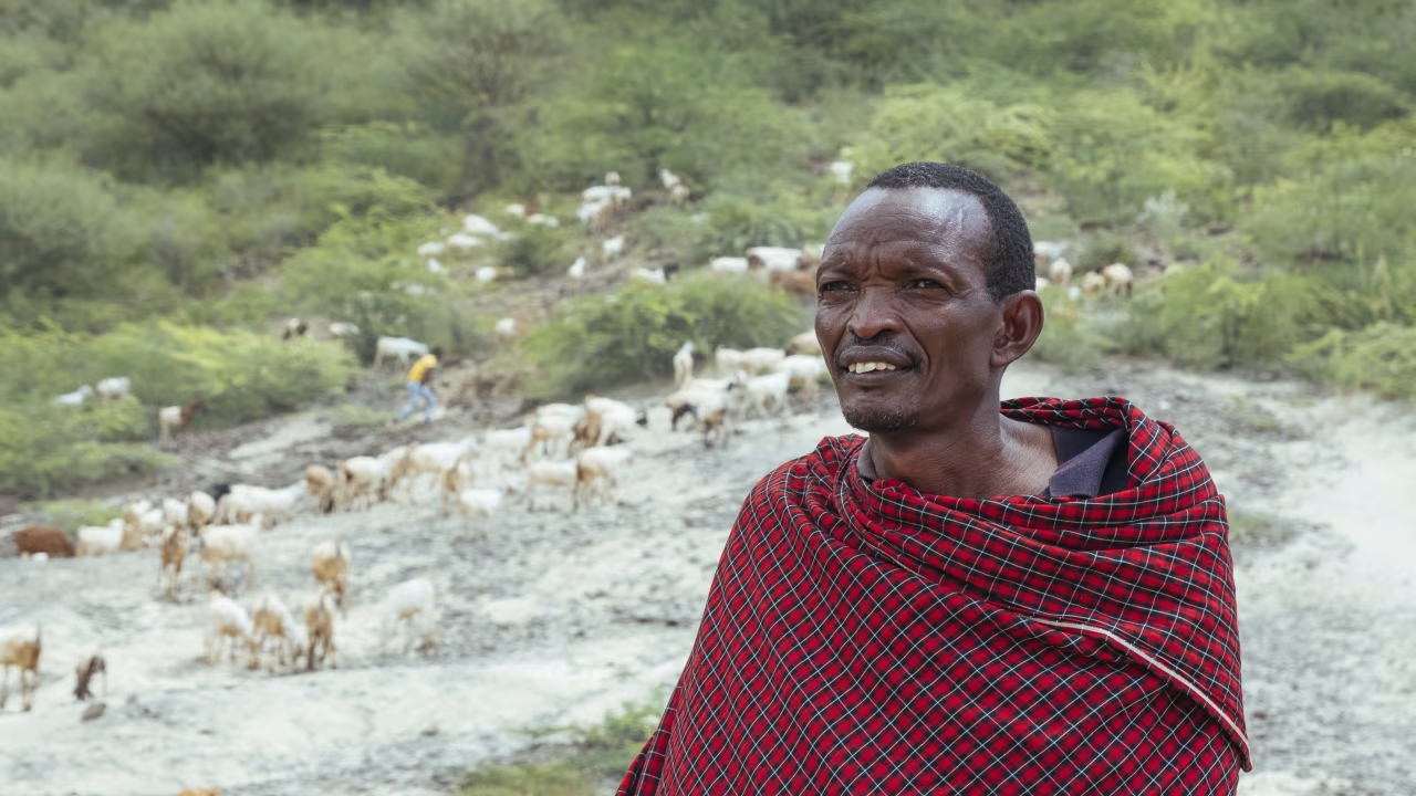 Tín chỉ carbon, dự án môi trường Kenya, Netflix, Meta, người chăn nuôi Kenya, xung đột môi trường, carbon offset