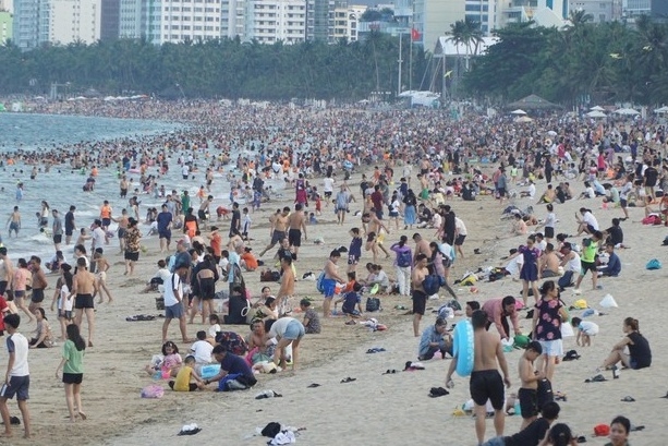 Sứa lửa, biển Nha Trang, cảnh báo sứa, nguy hiểm khi tắm biển, sơ cứu sứa đốt