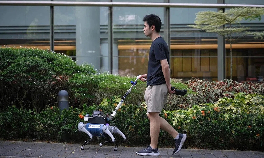 Robot chó, Singapore, công nghệ robot, hỗ trợ người khiếm thị, ứng dụng robot, Đại học Quốc gia Singapore