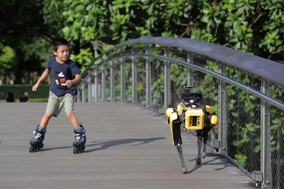 Robot chó, Singapore, công nghệ robot, hỗ trợ người khiếm thị, ứng dụng robot, Đại học Quốc gia Singapore