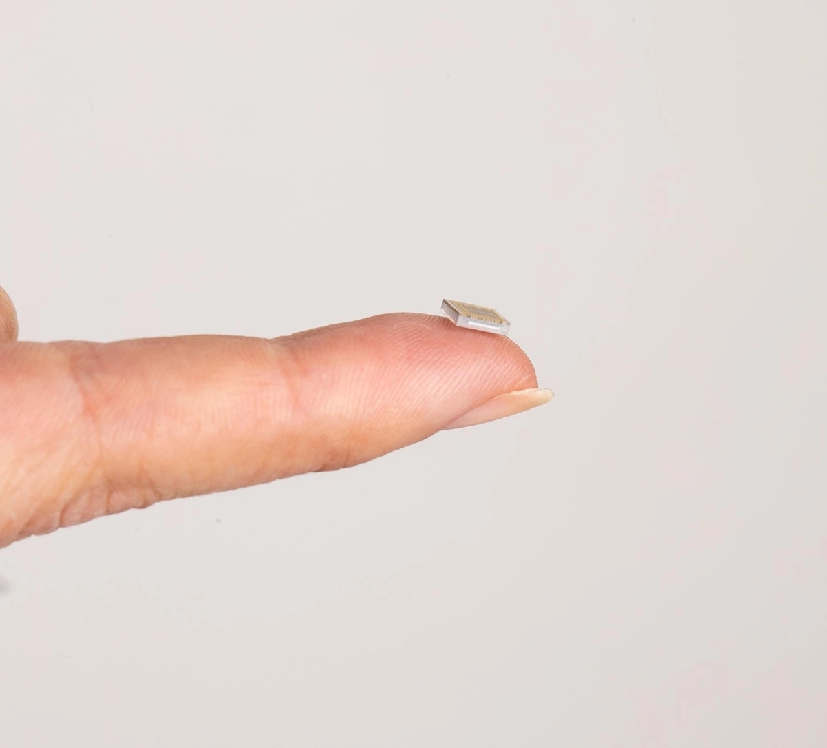 cấy chip vào não, giao diện não máy tính, công nghệ BCI, Neuralink, Synchron, Paradromics, Precision Neuroscience