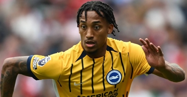 Newcastle, Joao Pedro, Brighton, chuyển nhượng, tiền đạo Brazil