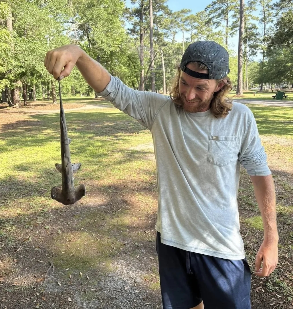 Cá mập đầu búa, chim ưng biển, Myrtle Beach, cá mập rơi từ trời, golf Nam Carolina