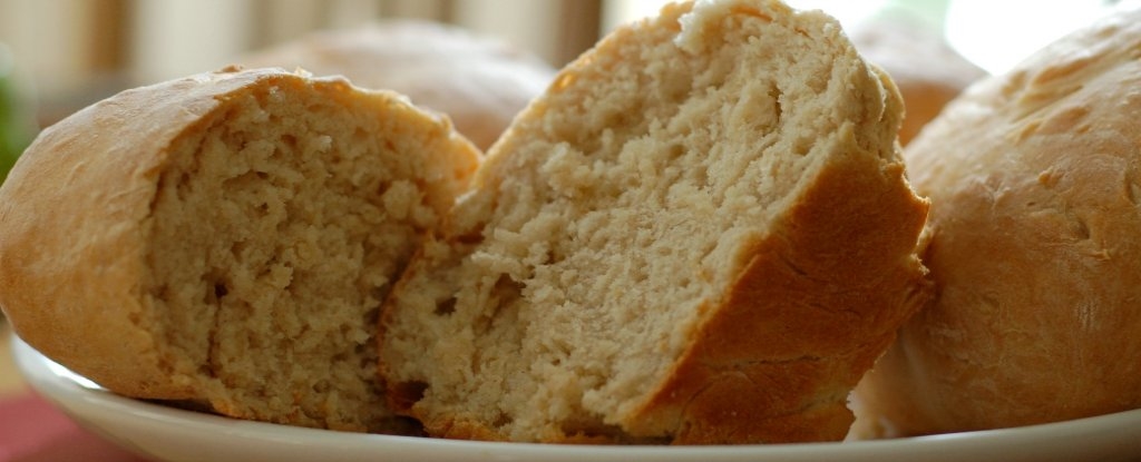 Dị ứng gluten, bệnh Celiac, gluten, không dung nạp gluten, tổn thương ruột non