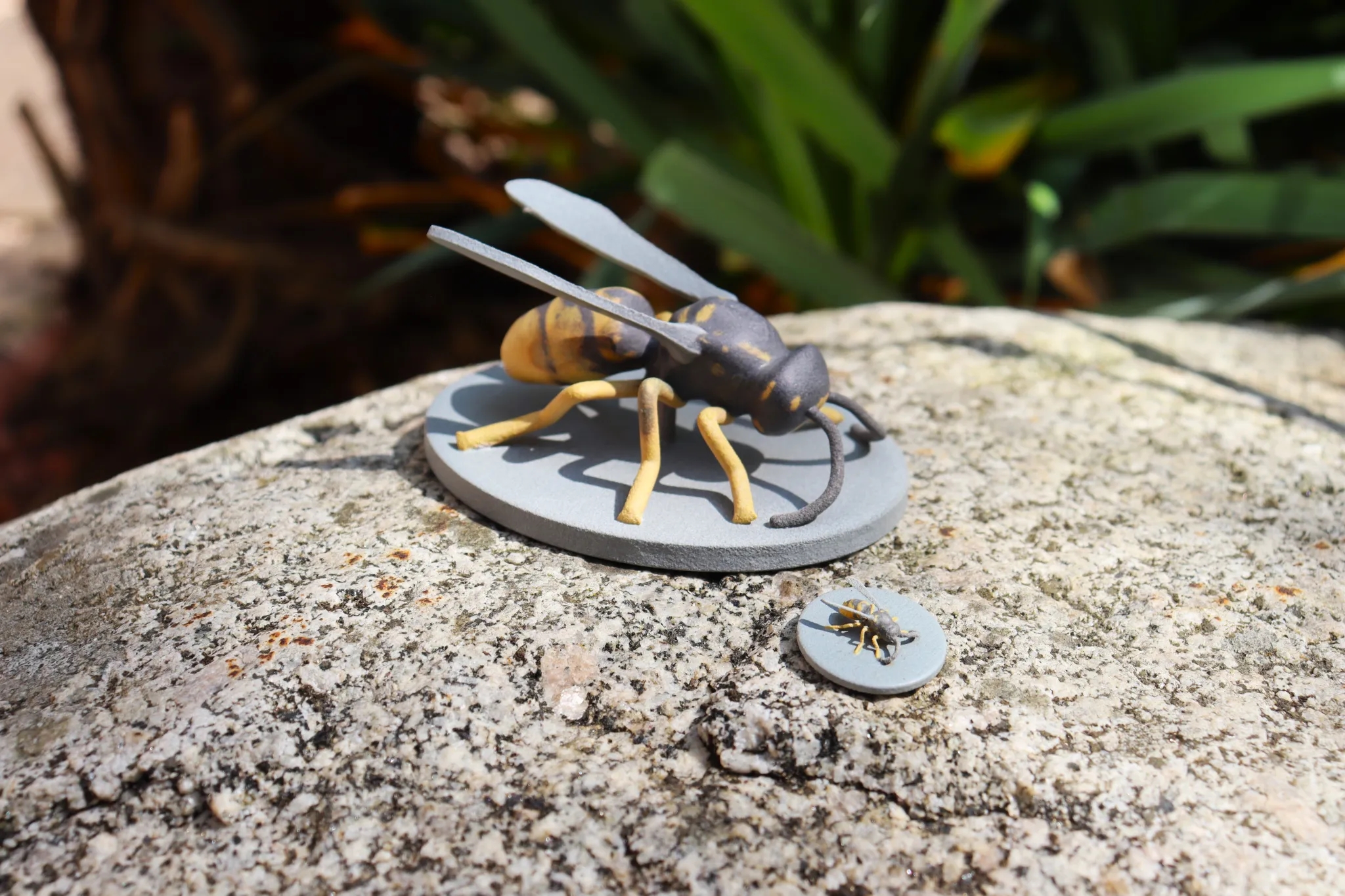 Hoverfly, ong vò vẽ, chim, nghiên cứu 3D, tiến hóa, bắt chước, mô phỏng động vật