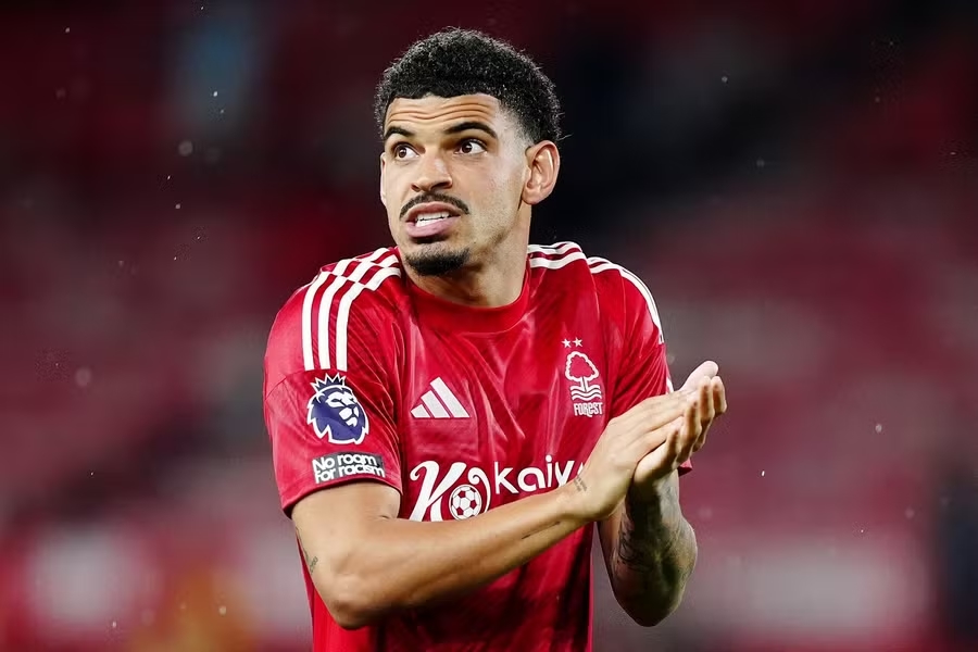 Morgan Gibbs-White, Jamie O'Hara, chuyển nhượng Tottenham, Nottingham Forest, điều khoản phá vỡ hợp đồng