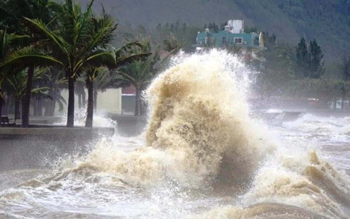 Bão Wipha, mưa lớn diện rộng, 18 tỉnh thành, Nguyễn Hoàng Hiệp, ứng phó thiên tai