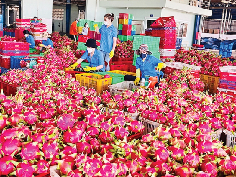Xuất khẩu rau quả, sầu riêng, chanh leo, chuối Việt Nam, trái cây chế biến, thị trường Trung Quốc, thị trường Mỹ, kim ngạch xuất khẩu