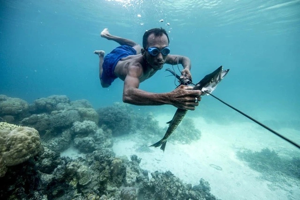 Siêu năng lực con người, người Sherpa, người Bajau, hải nữ Jeju, thích nghi môi trường