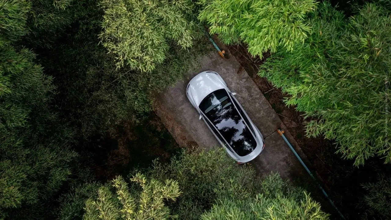 Tesla, xe tự lái, Elon Musk, Waymo, robotaxi, doanh thu Tesla, xe điện, AI