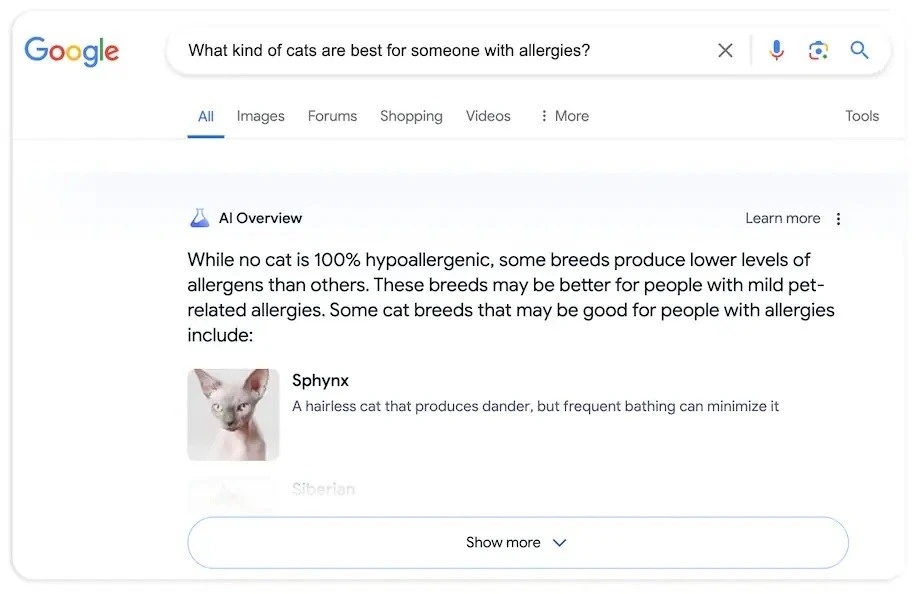 Google Search, AI Overviews, chatbot AI, ChatGPT, công cụ tìm kiếm