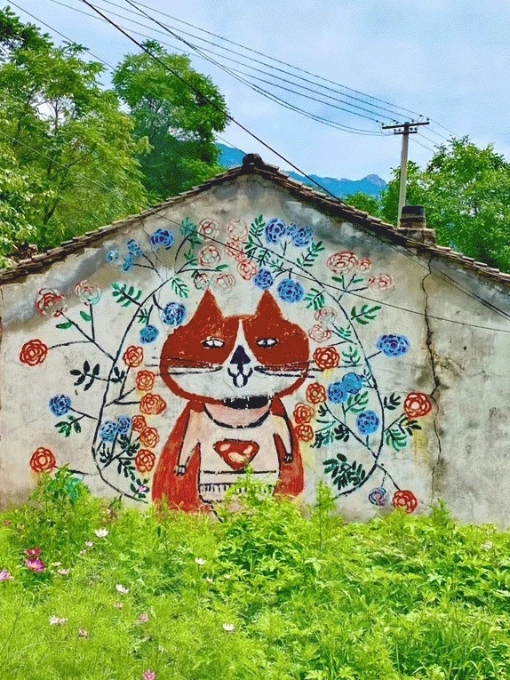 Làng mèo hoang, Đông Bình, Trung Quốc, du lịch chữa lành, Chu Hòa Vĩ